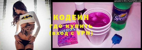 шишки Верхний Тагил