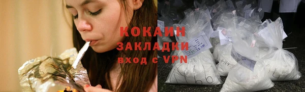 шишки Верхний Тагил