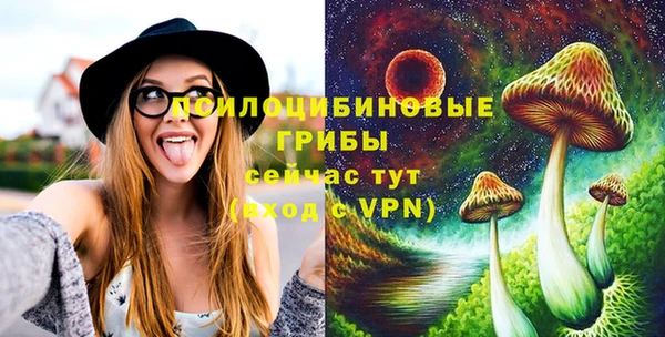 шишки Верхний Тагил