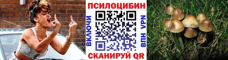 Псилоцибиновые грибы Psilocybine cubensis  где купить наркоту  Химки 